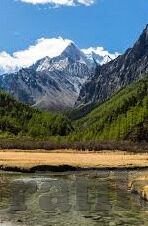 麻豆自制剧情国产app-探索国产自制剧情app的创作者与受众共享之旅
